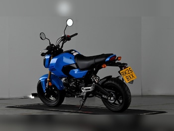 Used Honda MSX125 2025 for sale - bike-77826555: Photo