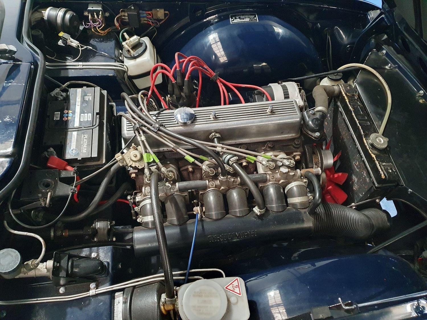 Used Triumph TR6 1974 for sale - 76584113: Photo 19