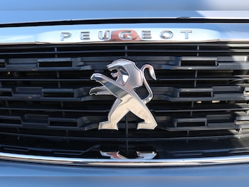 Used Peugeot 308 2019 for sale - 78709630: Photo
