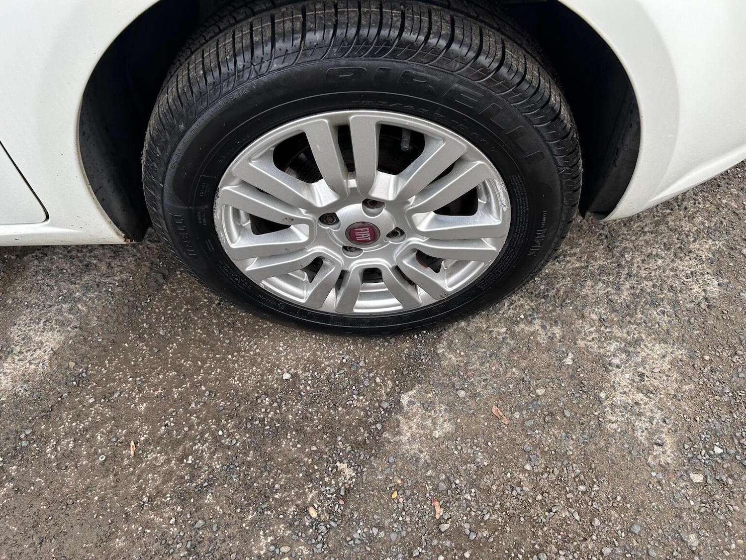 Used Fiat Punto 2015 for sale - 76963253: Photo 29