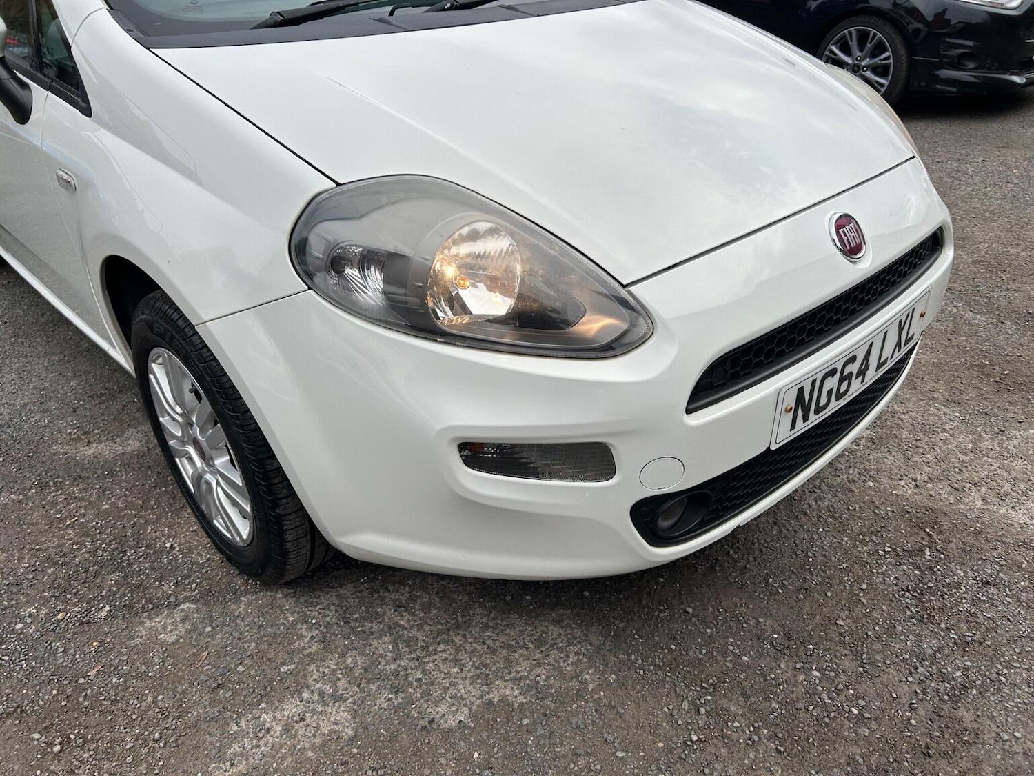 Used Fiat Punto 2015 for sale - 76963253: Photo 5