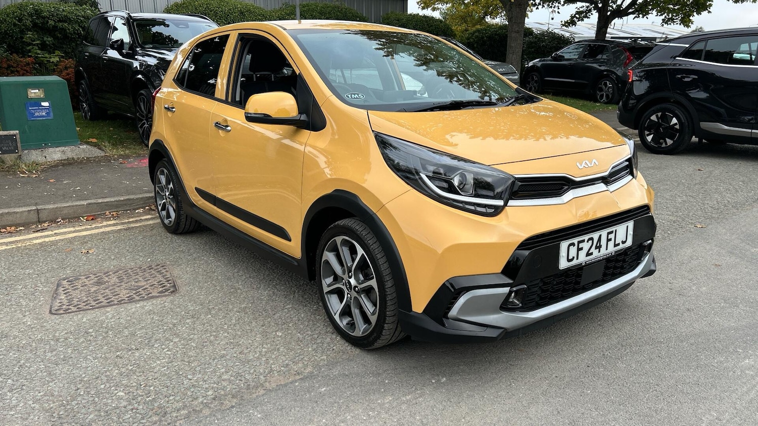 Used Kia Picanto 2024 for sale - 76337078: Photo 31