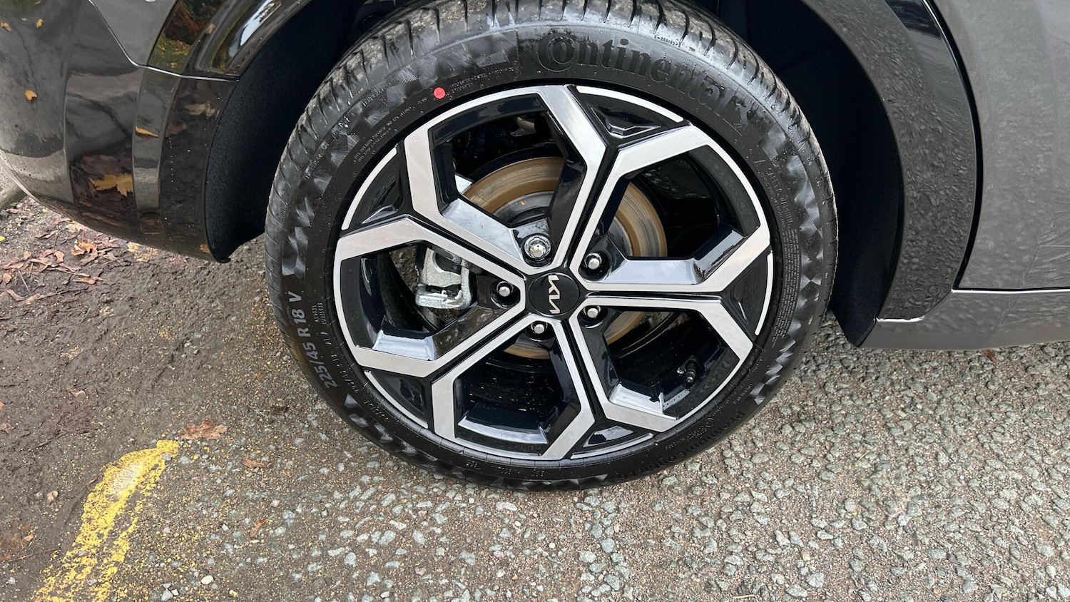 Used Kia Niro for sale - 77550182: Photo 42