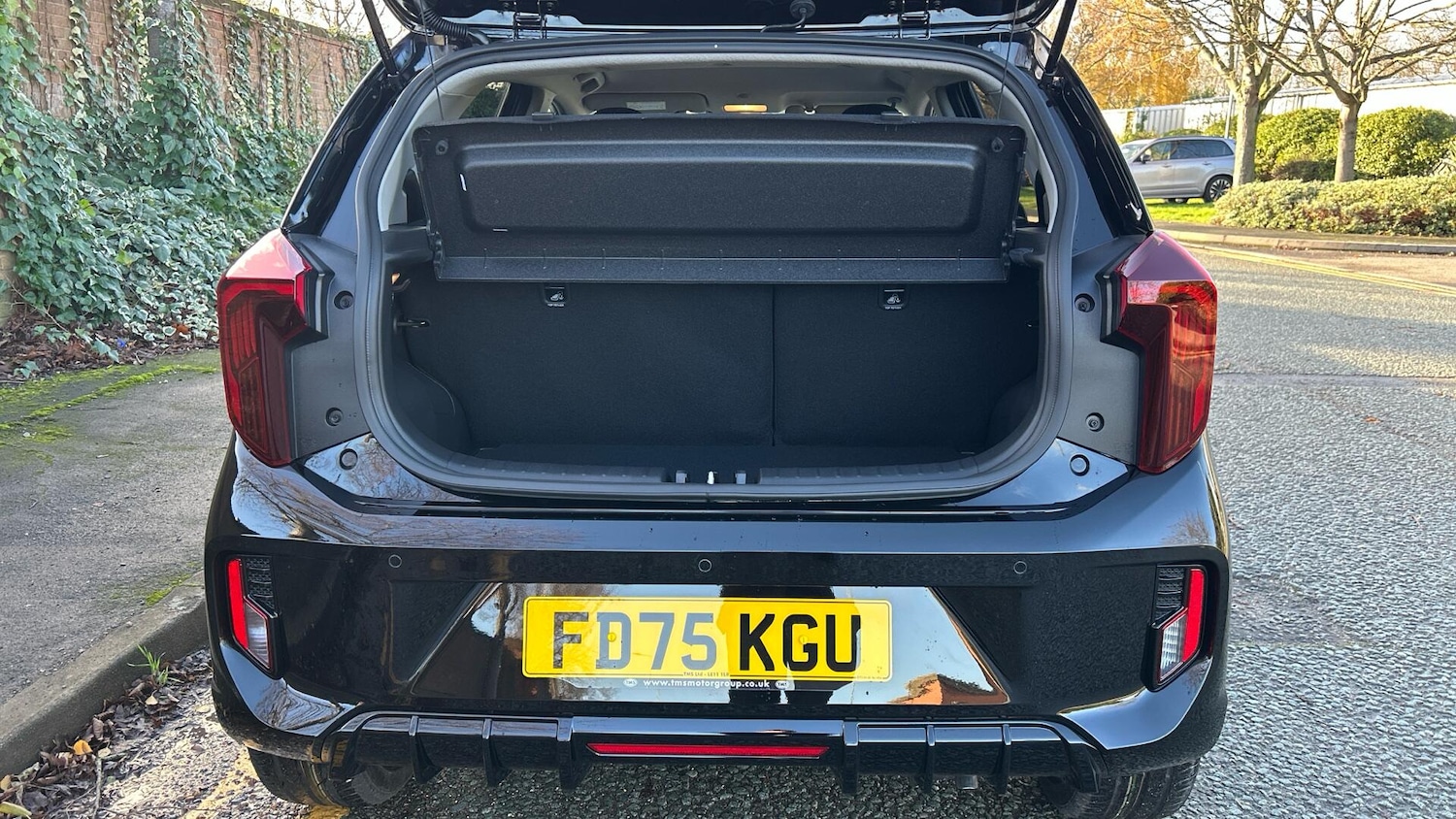 Used Kia Picanto for sale - 77425123: Photo 8