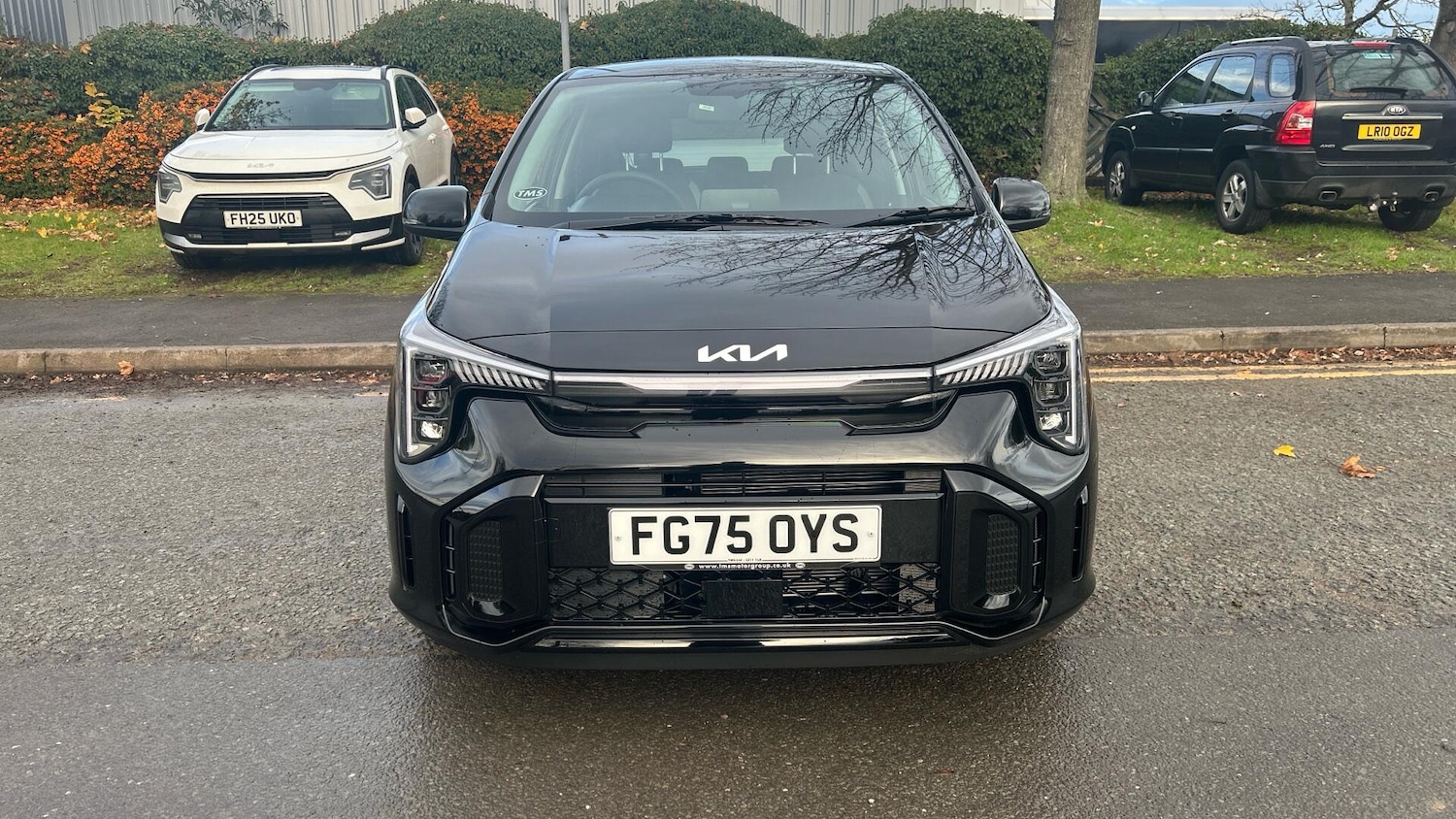 Used Kia Picanto 2025 for sale - 76700935: Photo 30