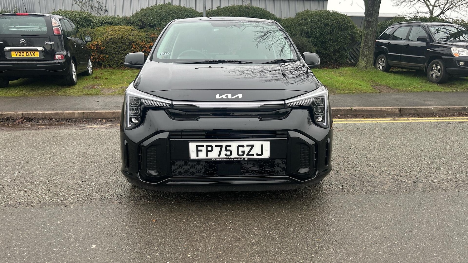 Used Kia Picanto for sale - 77705612: Photo 31