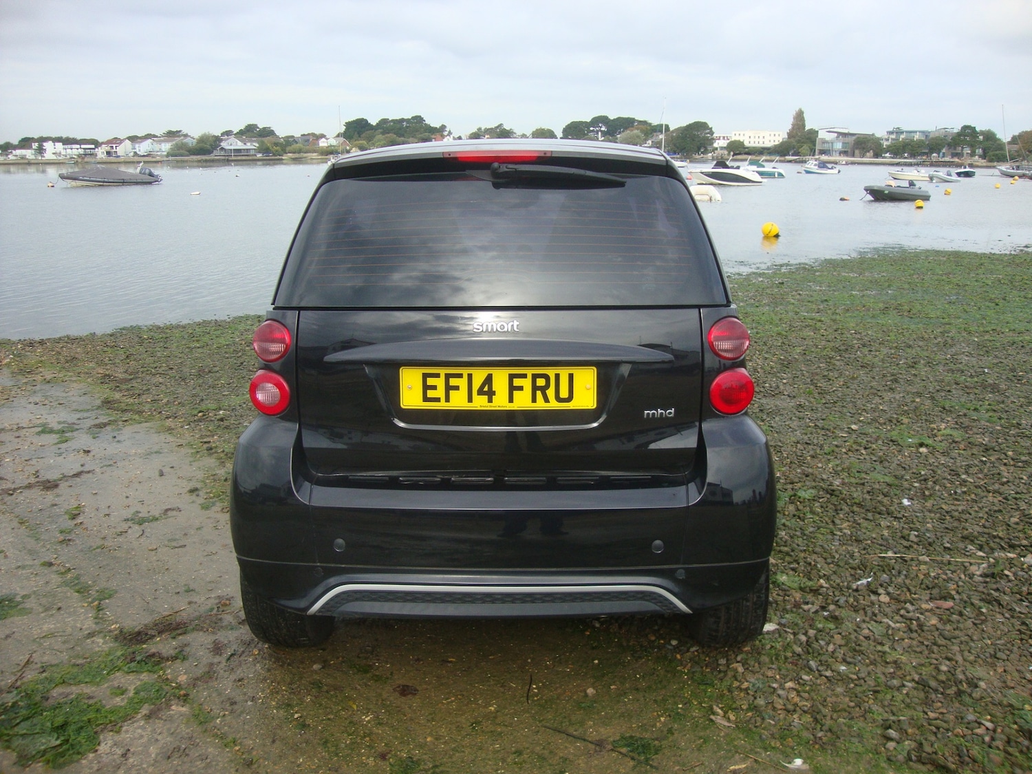 Used smart fortwo 2014 for sale - 76116663: Photo 7