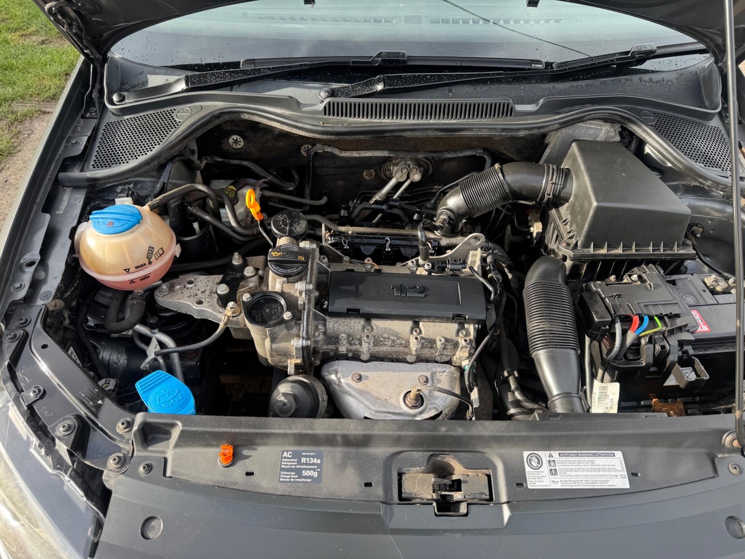 Used Volkswagen Polo for sale - 77808636: Photo 12