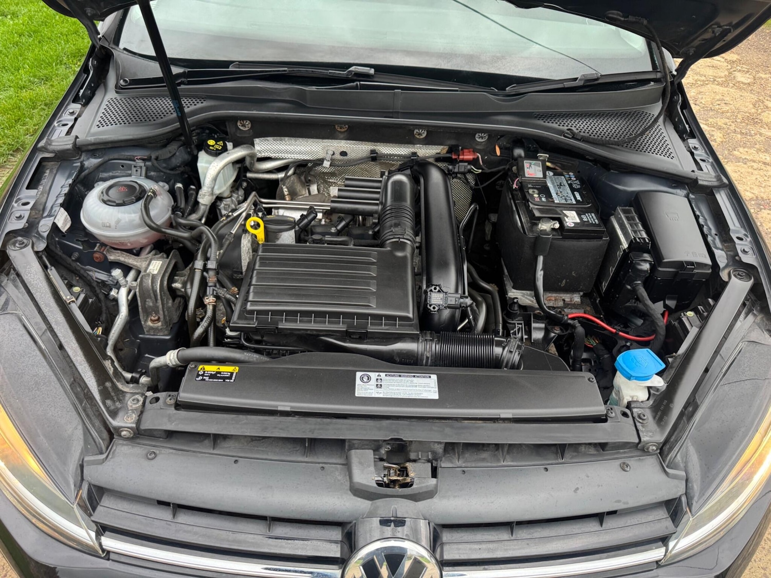 Used Volkswagen Golf for sale - 77807850: Photo 16