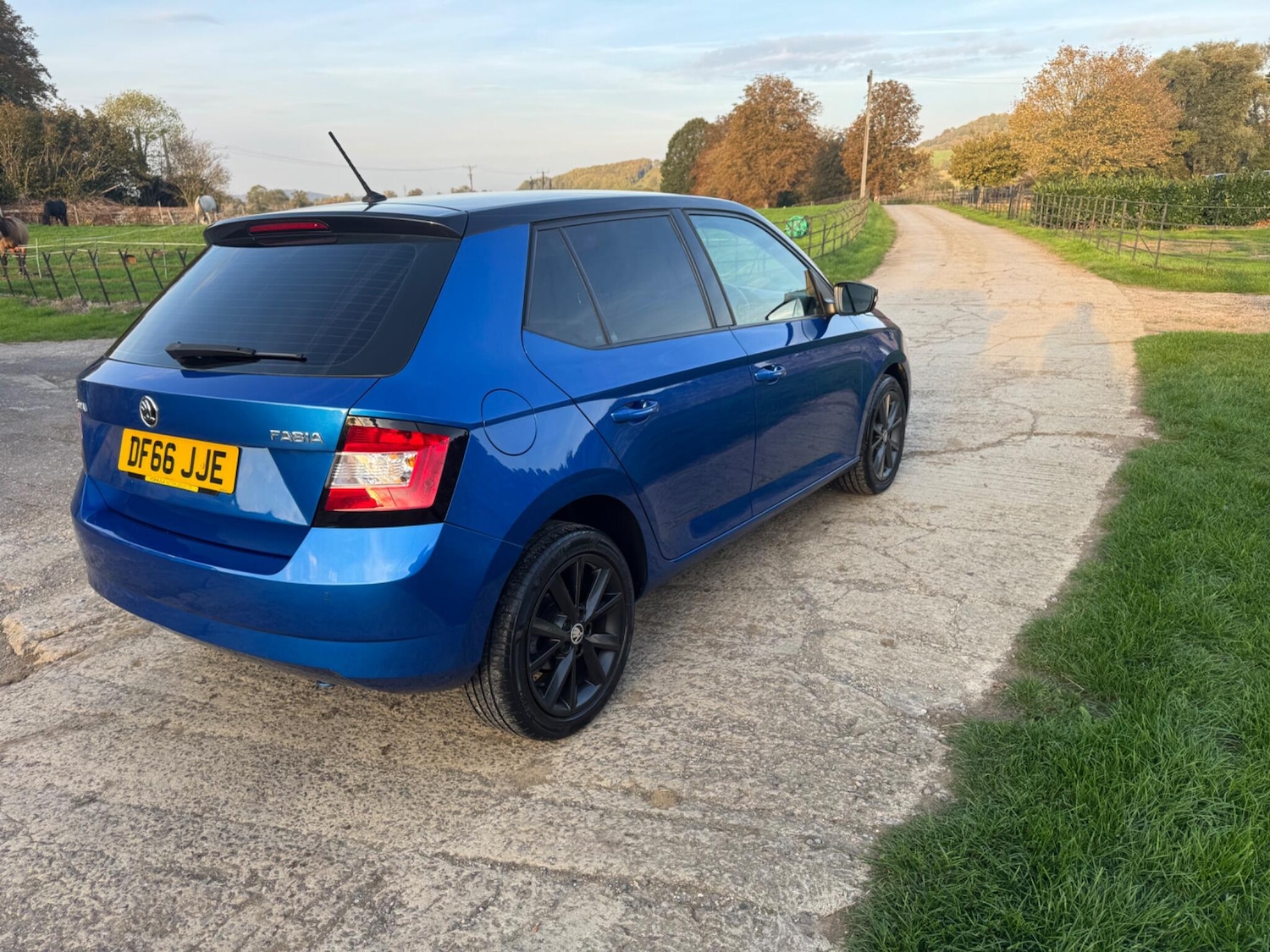 Used Skoda Fabia for sale - 77807662: Photo 5