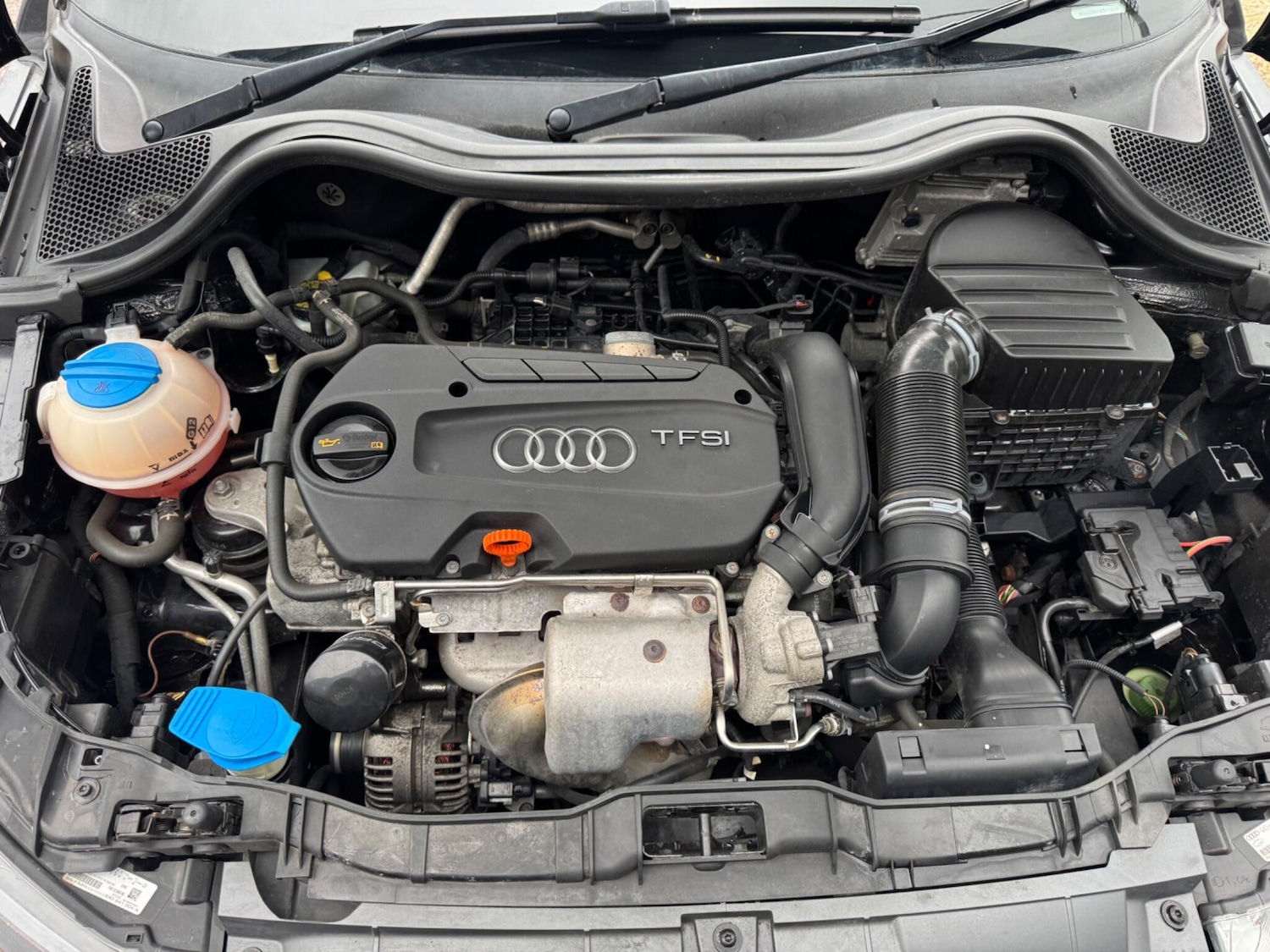 Used Audi A1 for sale - 77807701: Photo 18