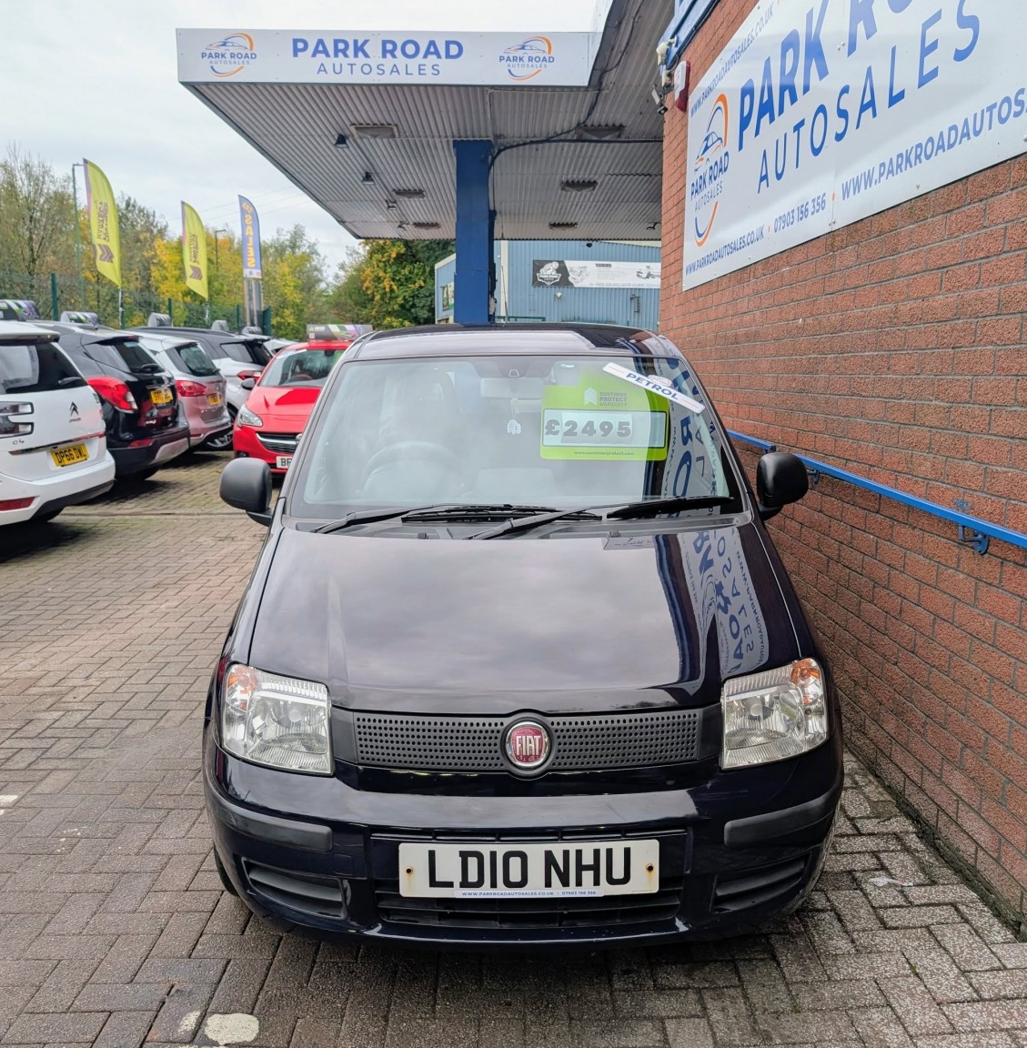 Used Fiat Panda 2010 for sale - 76358199: Photo 4