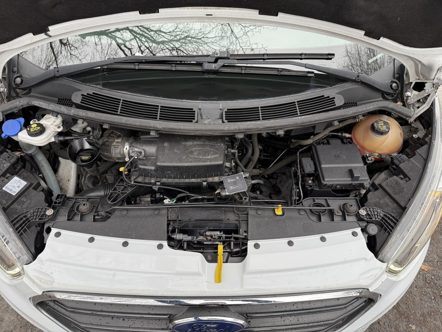 Used Ford Transit Custom 2020 for sale - 77423574: Photo 19