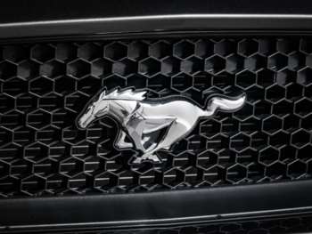 Used Ford Mustang 2017 for sale - 74215453: Photo