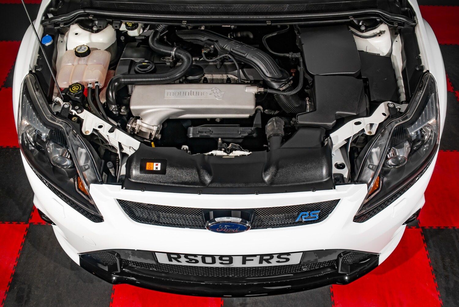 Used Ford Focus 2009 for sale - 77592013: Photo 5