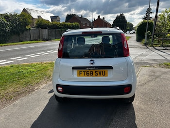 Used Fiat Panda 2019 for sale - 78497080: Photo
