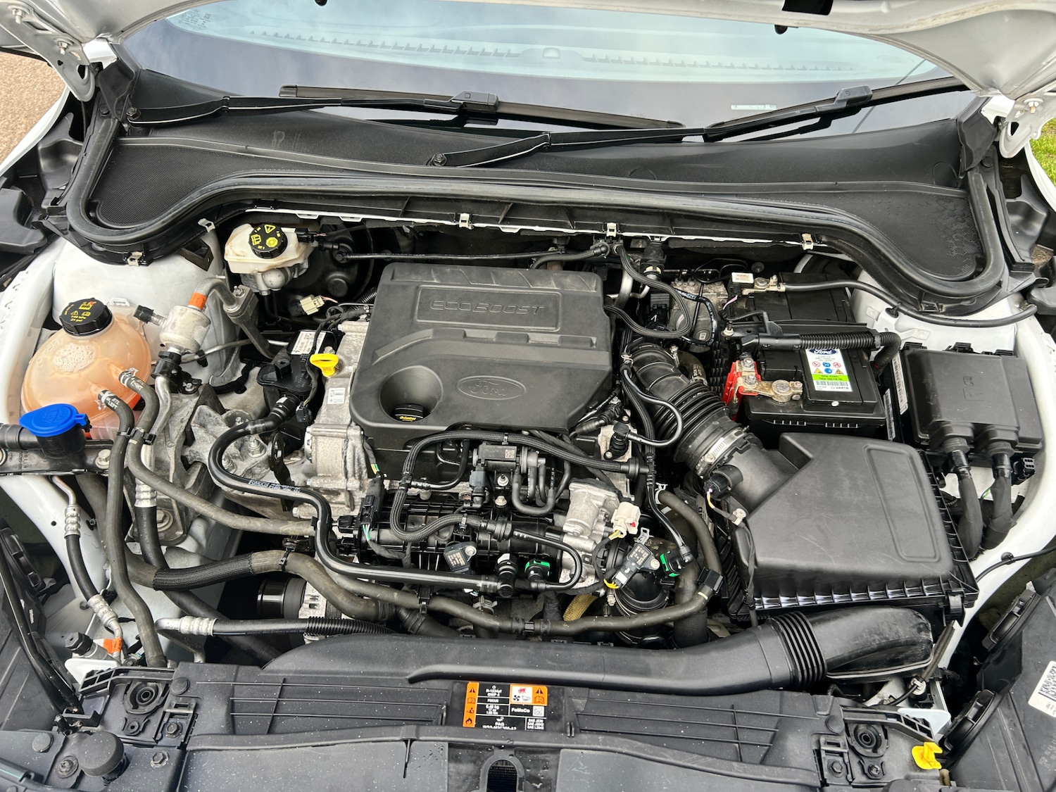 Used Ford Focus 2019 for sale - 76170232: Photo 18