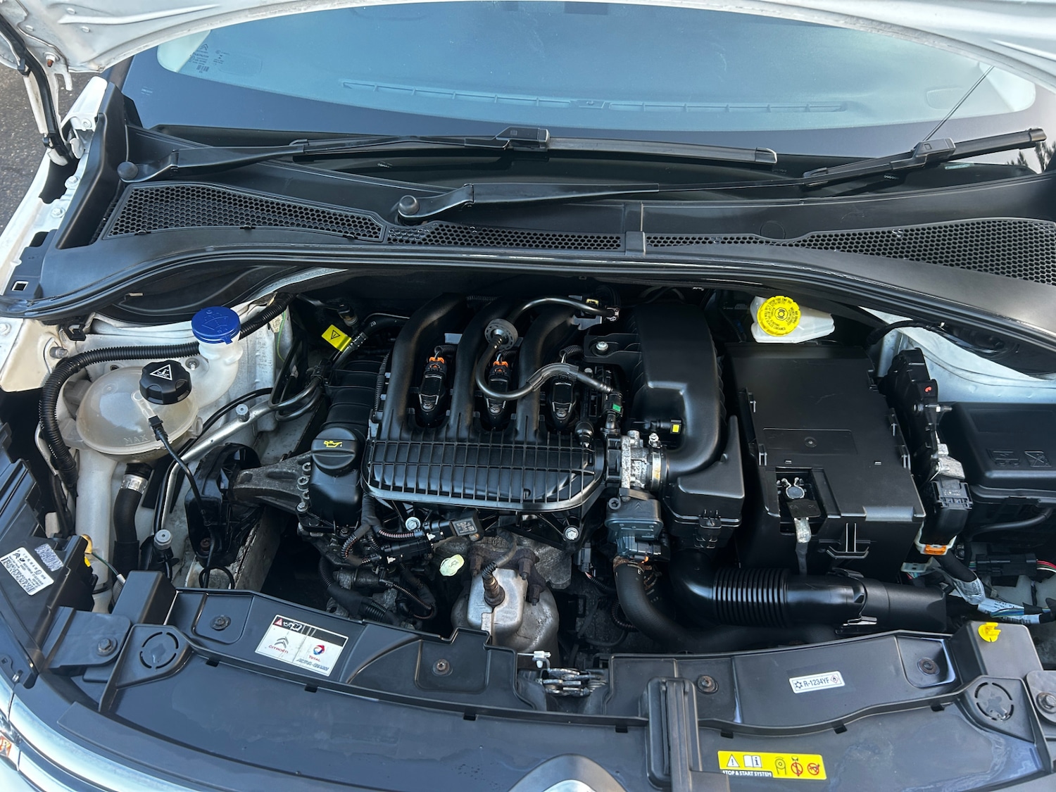 Used Citroen C3 2019 for sale - 76892645: Photo 22