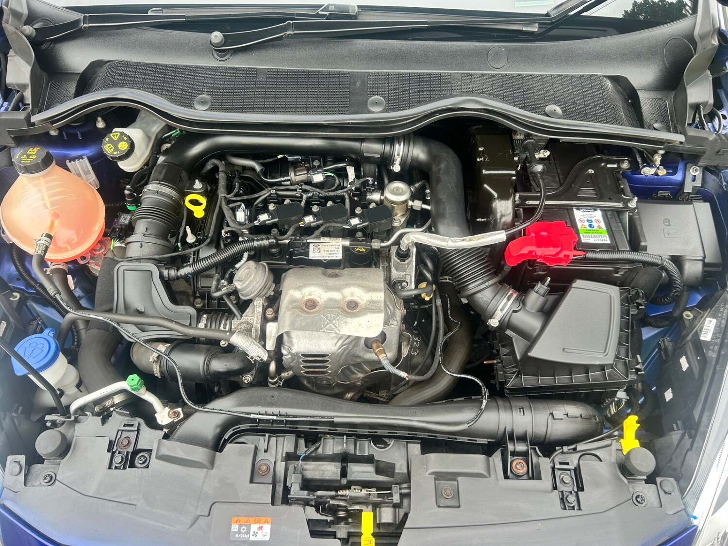 Used Ford Fiesta 2017 for sale - 75434351: Photo 21