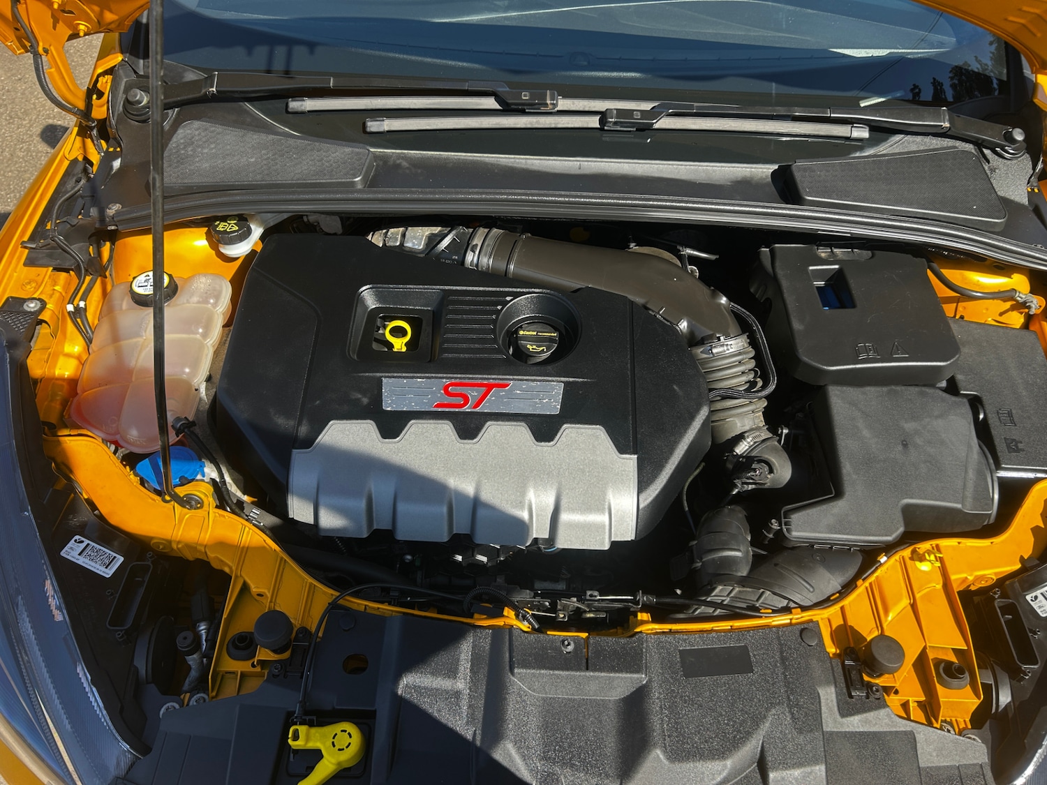 Used Ford Focus 2015 for sale - 78026881: Photo 23