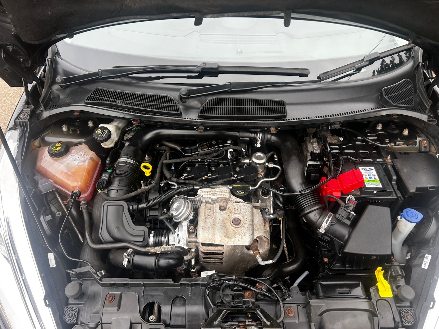 Used Ford Fiesta 2016 for sale - 78025525: Photo 17