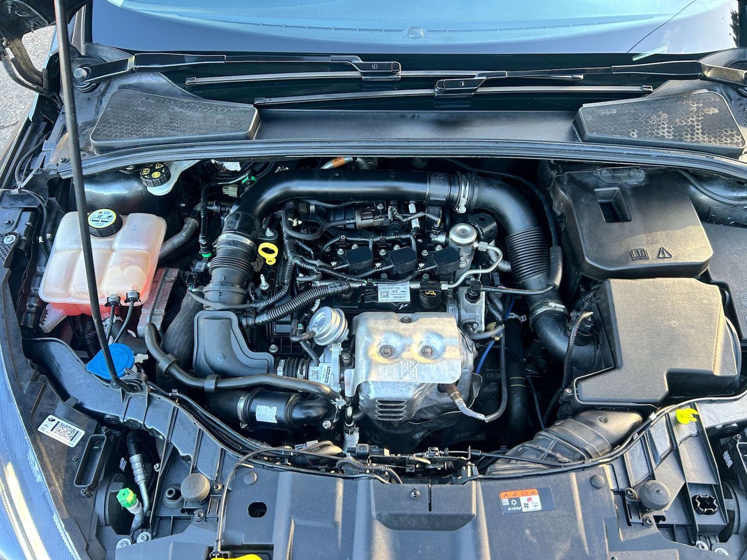 Used Ford Focus 2017 for sale - 76170208: Photo 18