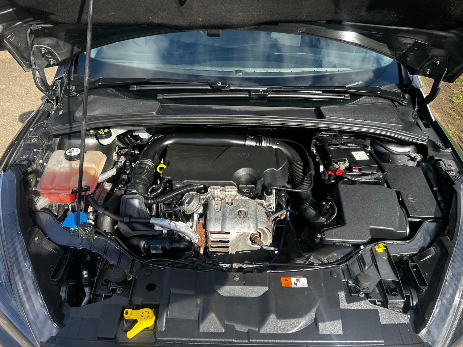 Used Ford Focus 2015 for sale - 77833730: Photo 16