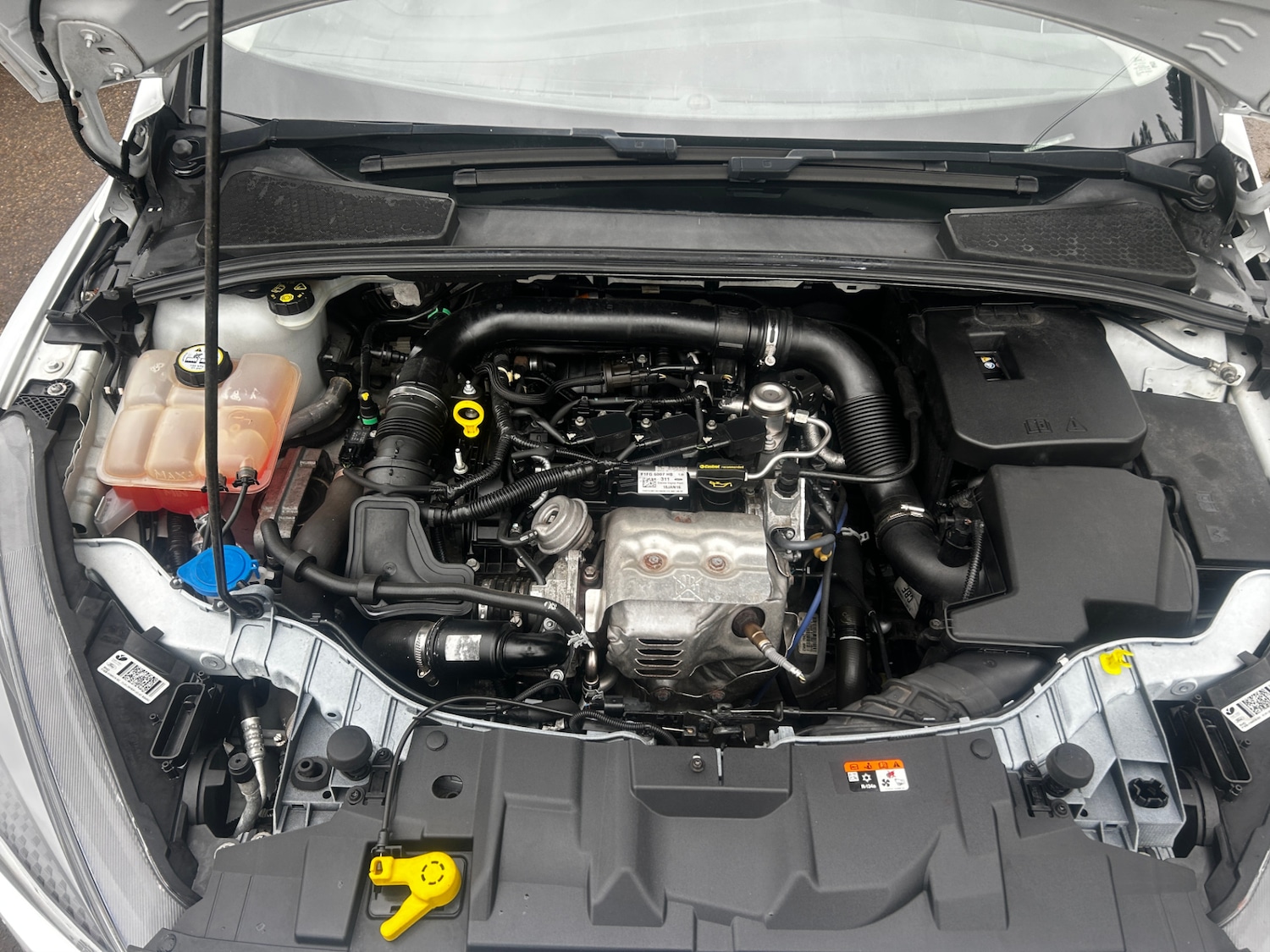 Used Ford Focus 2016 for sale - 77300261: Photo 14