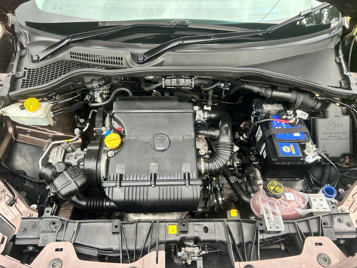 Used Fiat Tipo 2017 for sale - 76392415: Photo 20