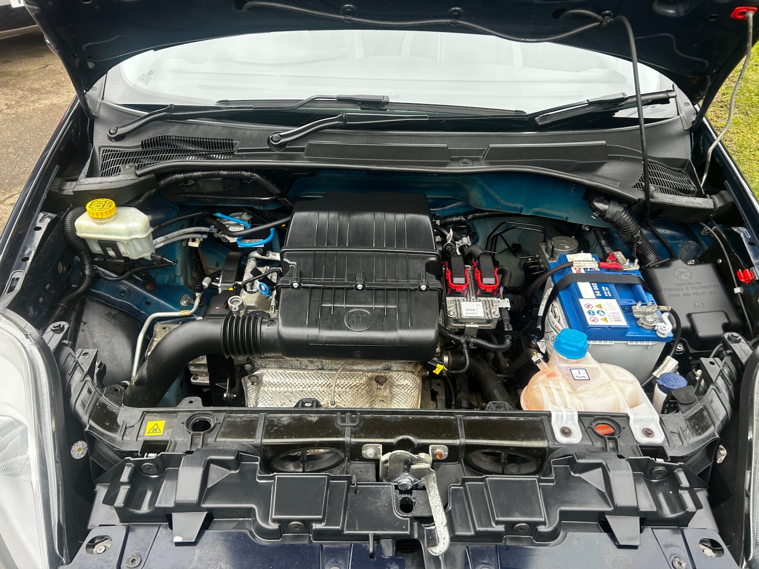 Used Fiat Punto 2012 for sale - 77404534: Photo 17