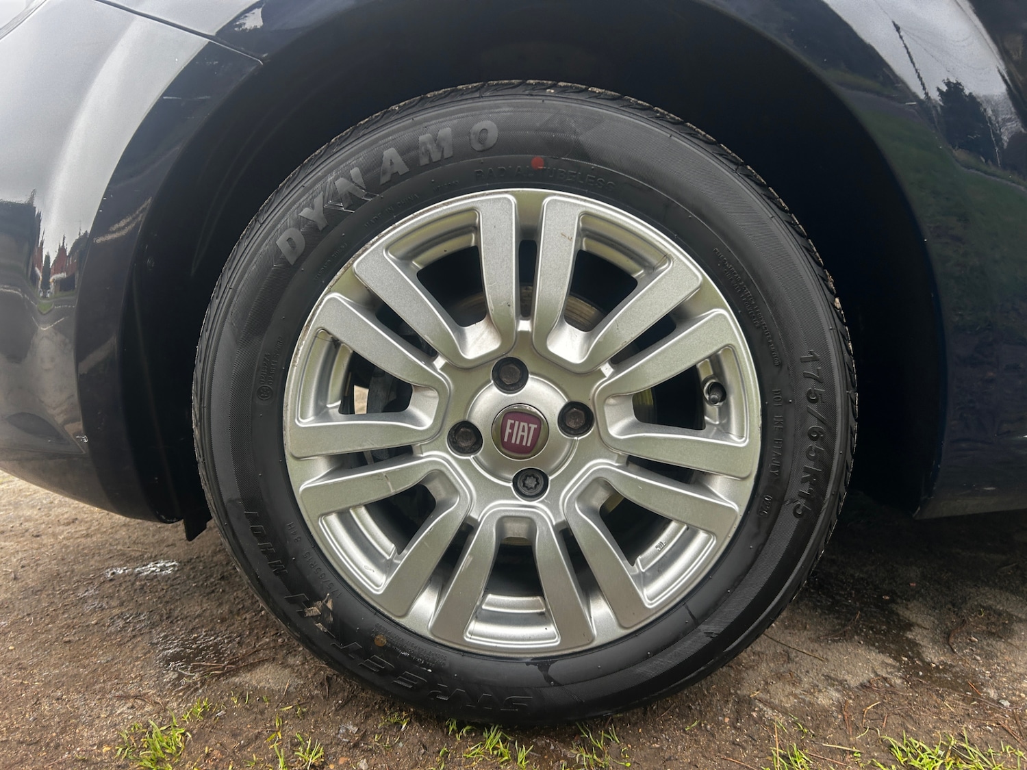 Used Fiat Punto 2012 for sale - 77404534: Photo 22