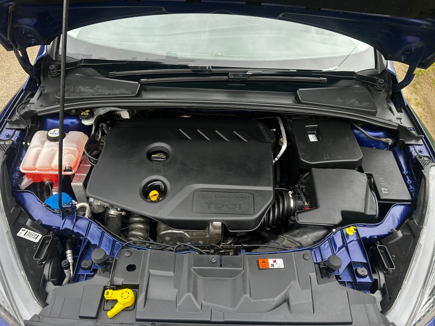 Used Ford Focus 2015 for sale - 78000394: Photo 16