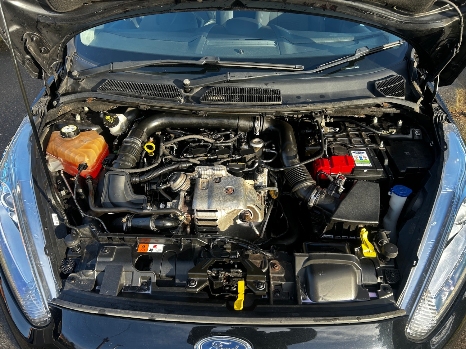 Used Ford Fiesta 2016 for sale - 76817601: Photo 9