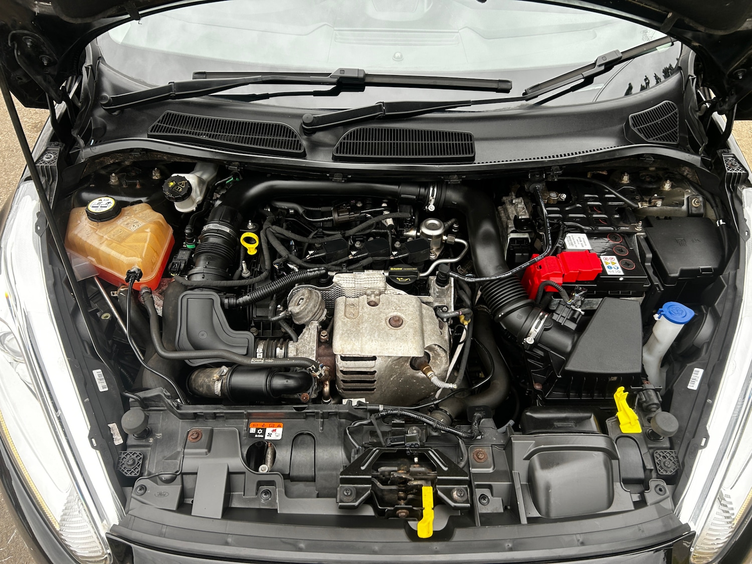 Used Ford Fiesta 2016 for sale - 78180440: Photo 19