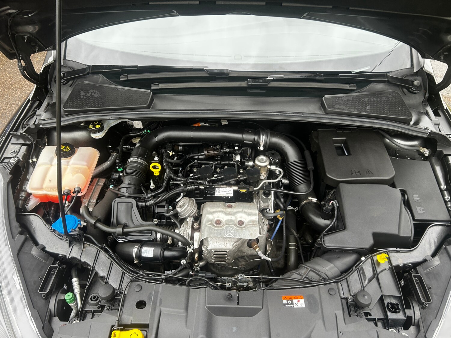 Used Ford Focus 2018 for sale - 76879606: Photo 16