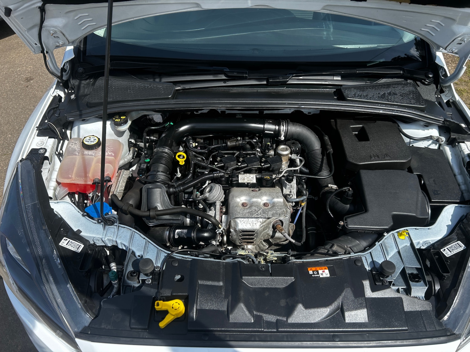 Used Ford Focus 2017 for sale - 78199022: Photo 20