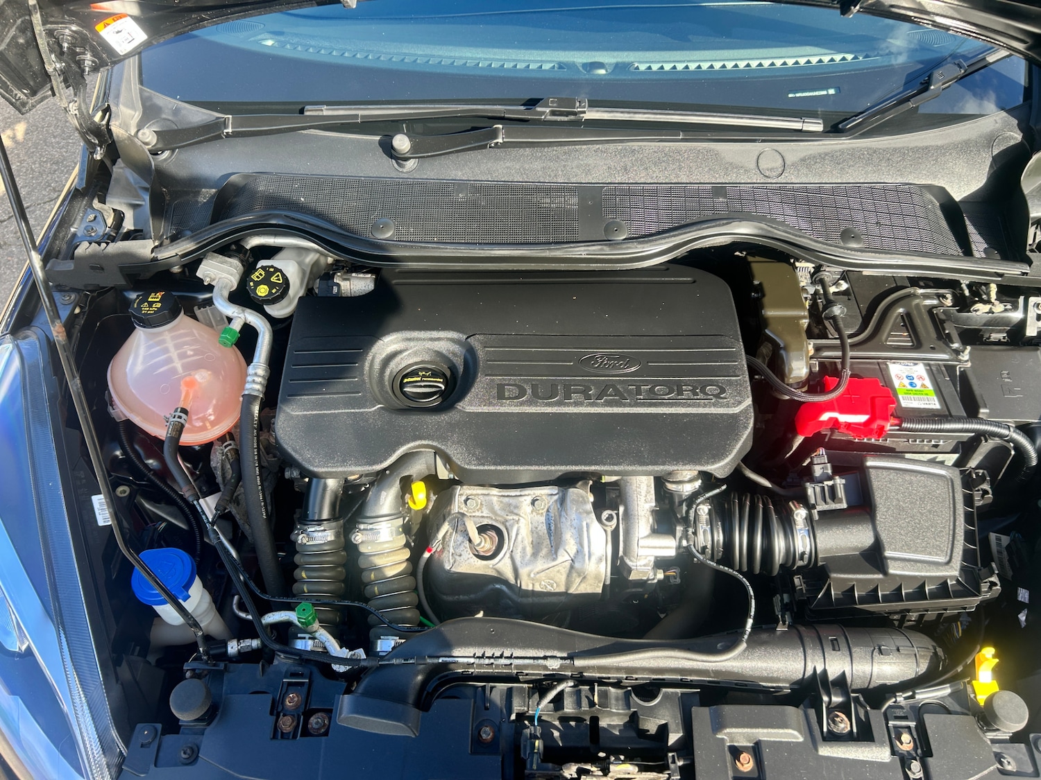 Used Ford Fiesta 2018 for sale - 76365021: Photo 19