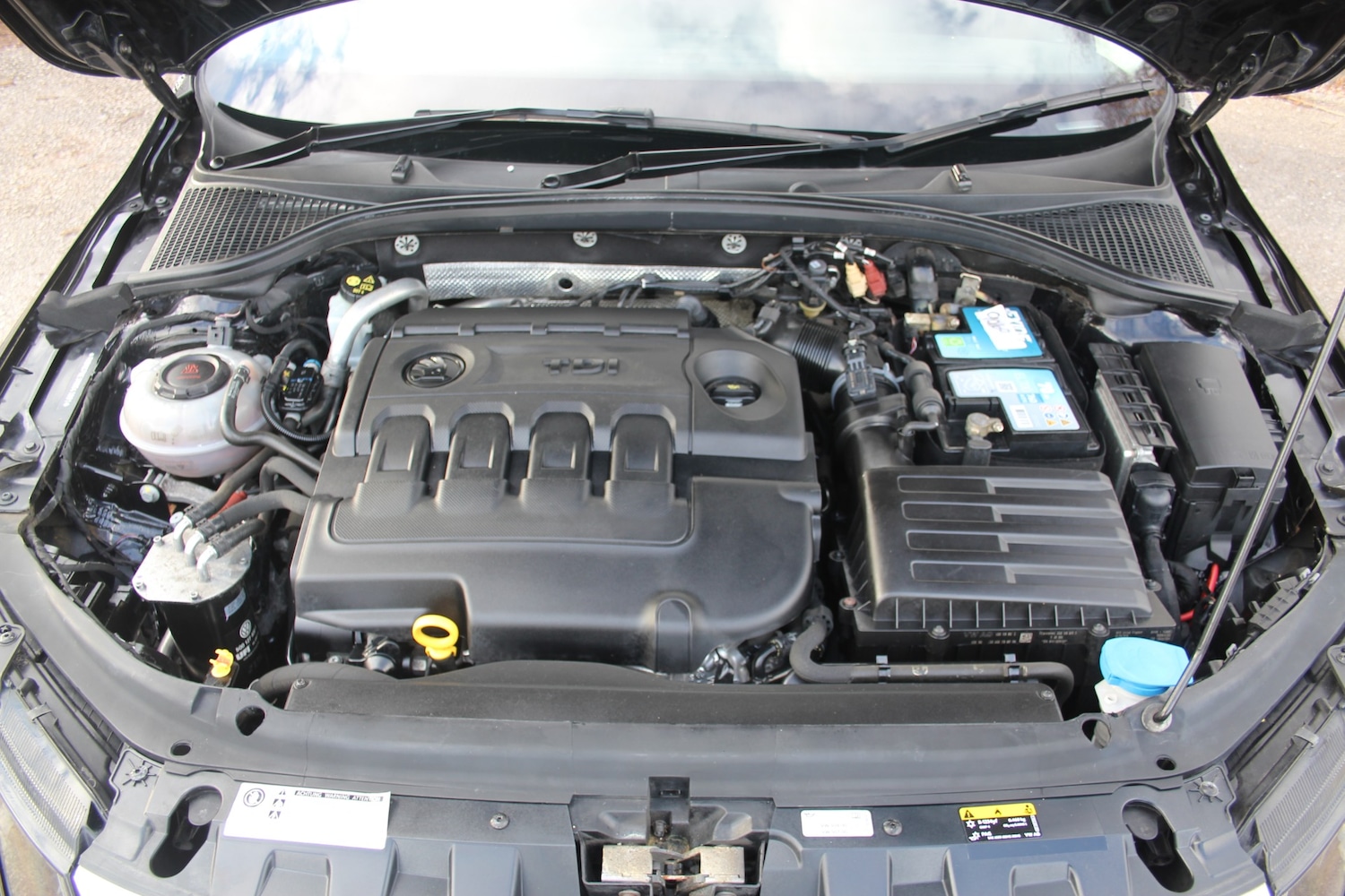 Used Skoda Octavia 2018 for sale - 77864616: Photo 13