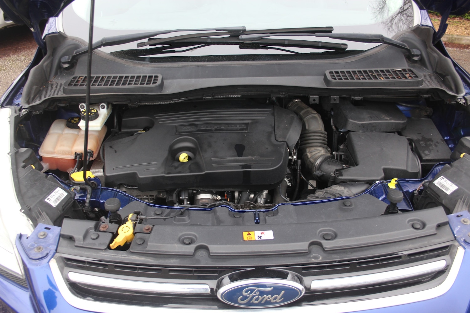 Used Ford Kuga 2016 for sale - 77656442: Photo 12