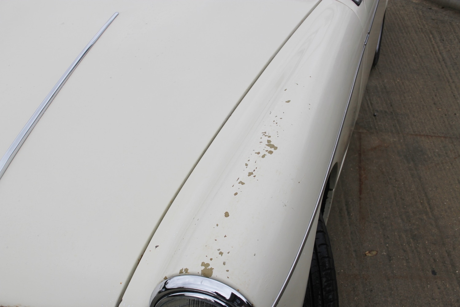 Used MG Midget 1972 for sale - 76505540: Photo 13