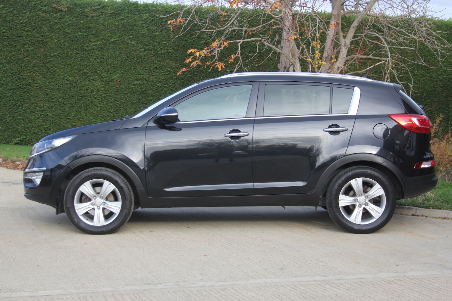 Used Kia Sportage 2014 for sale - 76505284: Photo 11