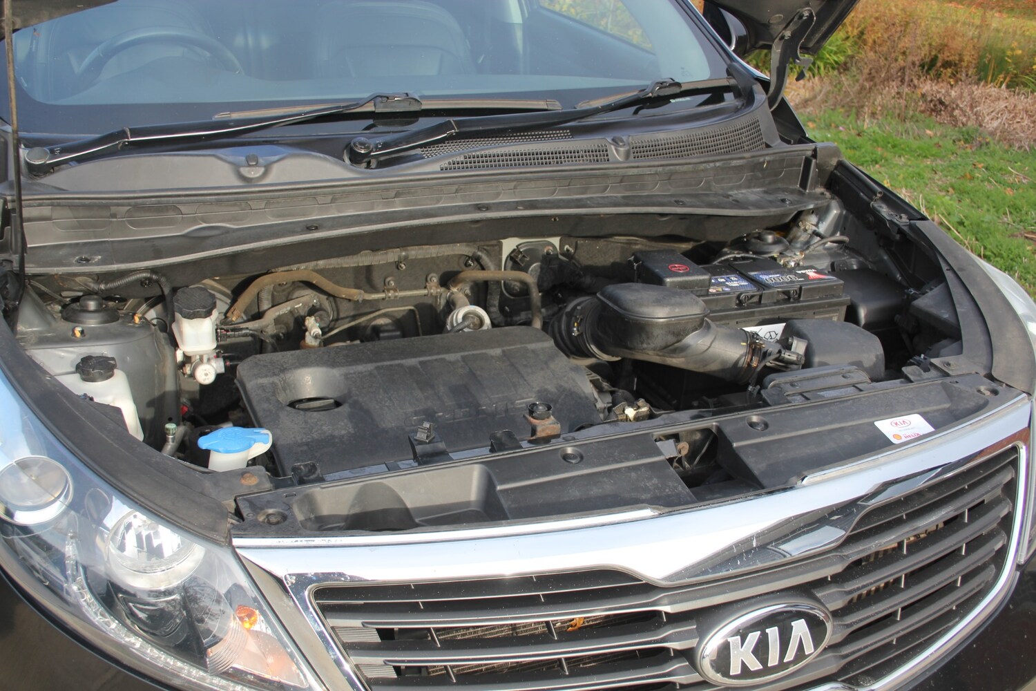 Used Kia Sportage 2014 for sale - 76505284: Photo 12