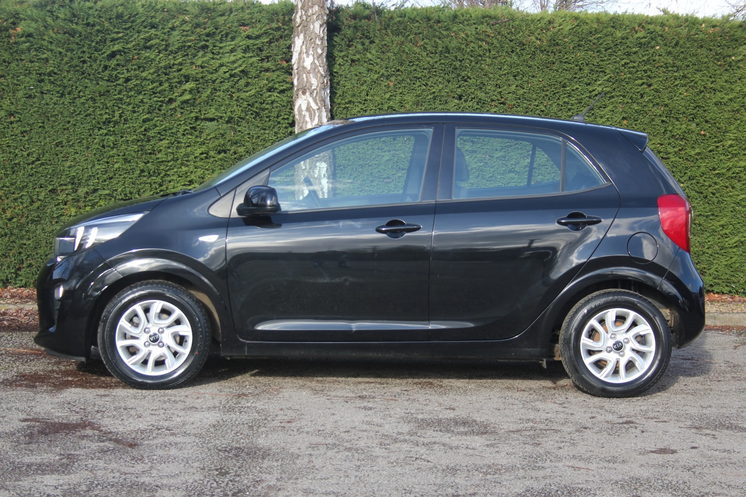 Used Kia Picanto 2017 for sale - 77259183: Photo 10