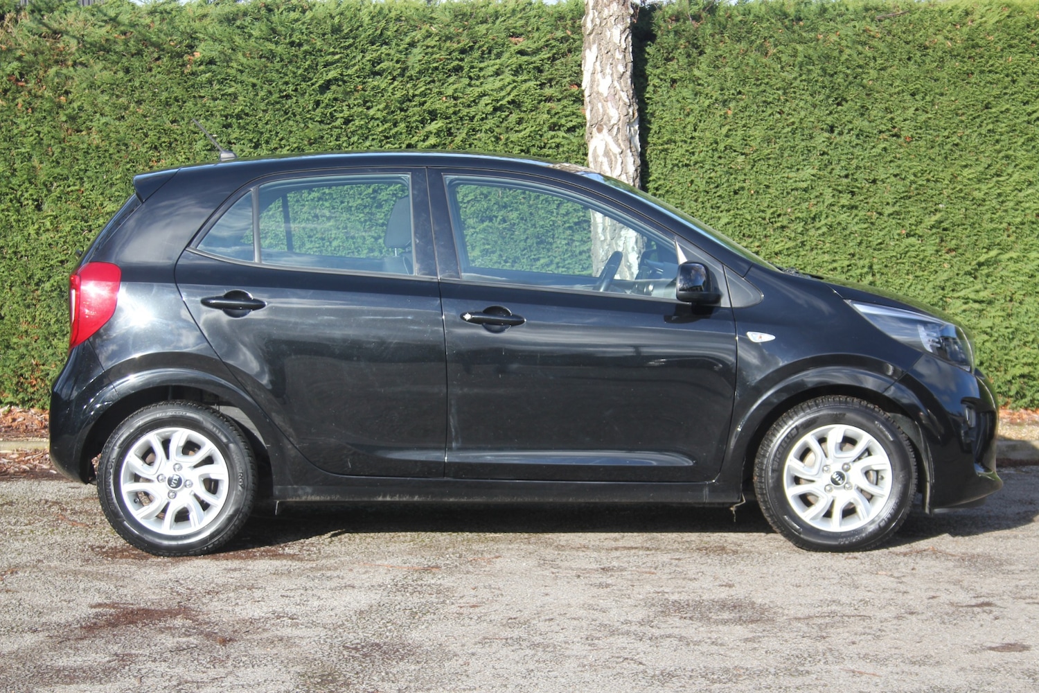 Used Kia Picanto 2017 for sale - 77259183: Photo 9