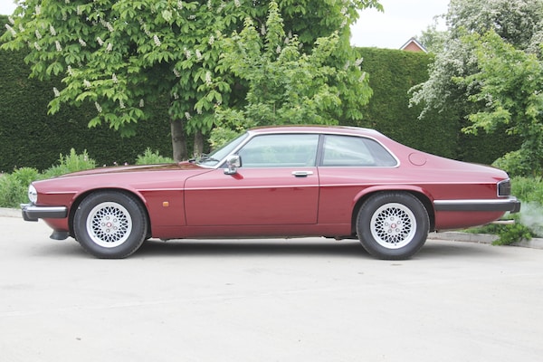 Used Jaguar XJS 1991 for sale - 74568570: Photo 12