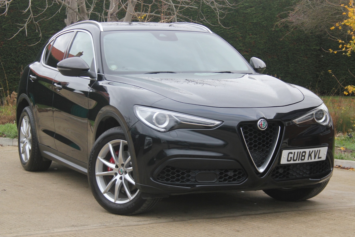 Used Alfa Romeo Stelvio 2018 for sale - 76544384: Photo 1