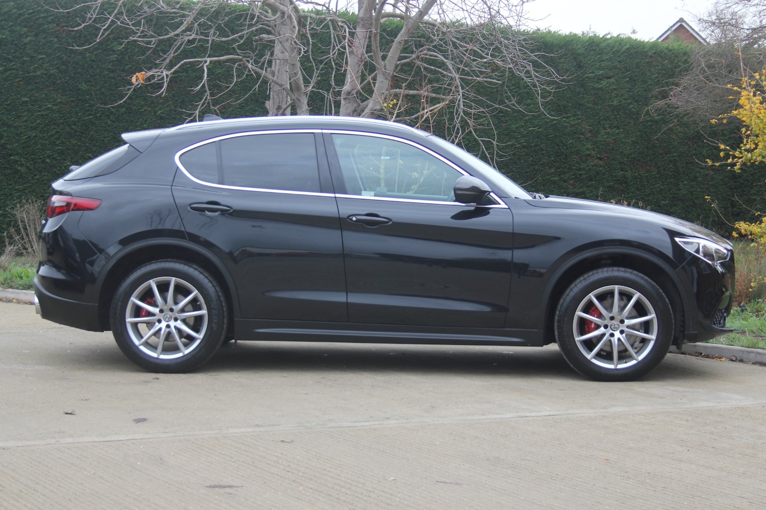 Used Alfa Romeo Stelvio 2018 for sale - 76544384: Photo 12
