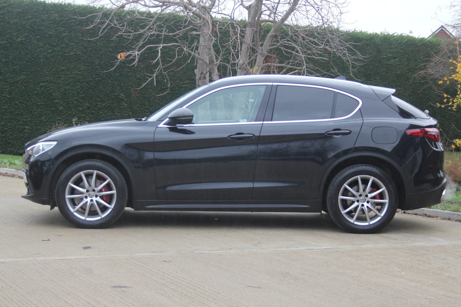Used Alfa Romeo Stelvio 2018 for sale - 76544384: Photo 13