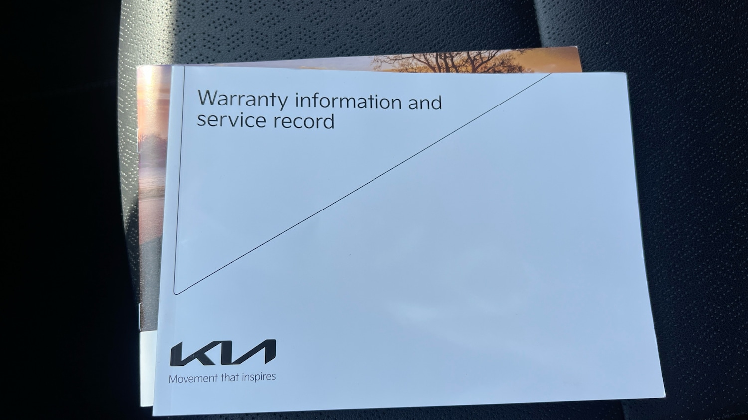 Used Kia Picanto 2023 for sale - 76541711: Photo 19