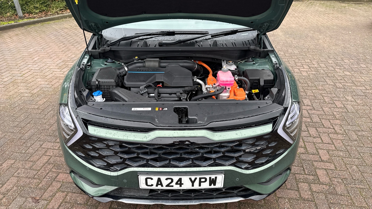 Used Kia Sportage 2024 for sale - 76734401: Photo 8